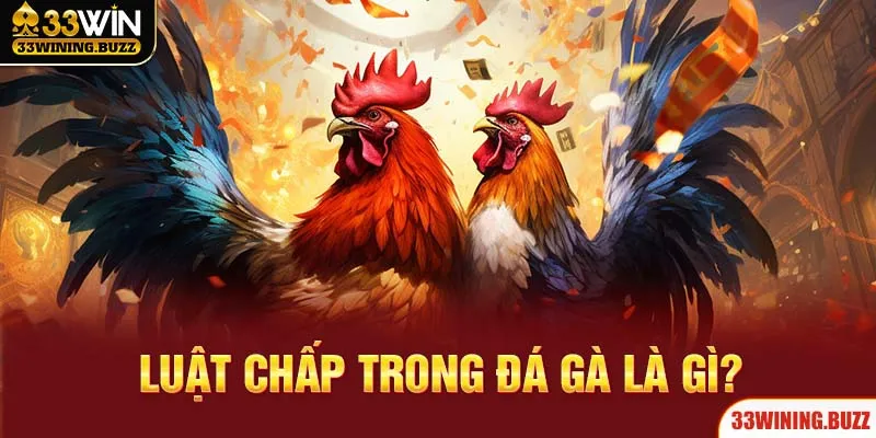 Luật Chấp Trong Đá Gà 33Win - Nắm Rõ Quy Tắc Để Thắng Lớn